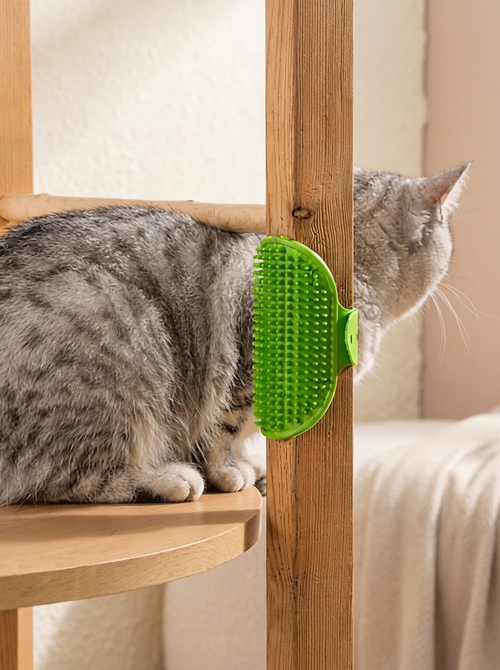 Grooming Glove